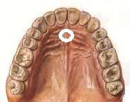 Fisioterapia ATM 6